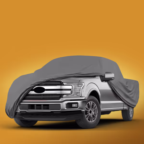 2005 Ford F-150 Regular Cab Long Bed(8 ft)