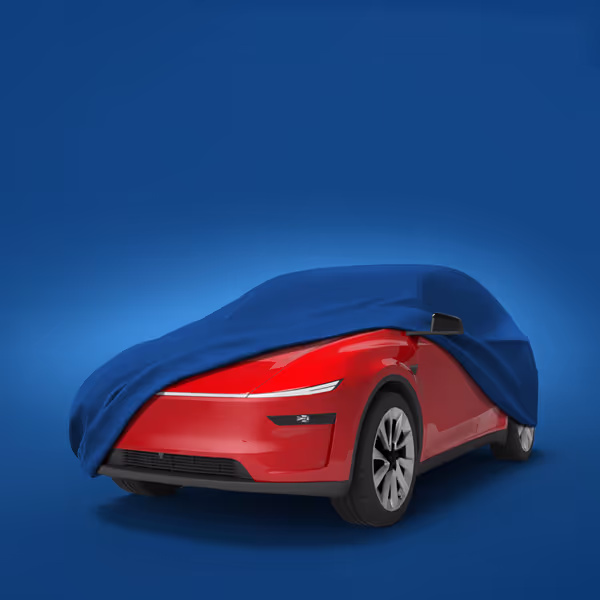 2021 Tesla Model Y All Options