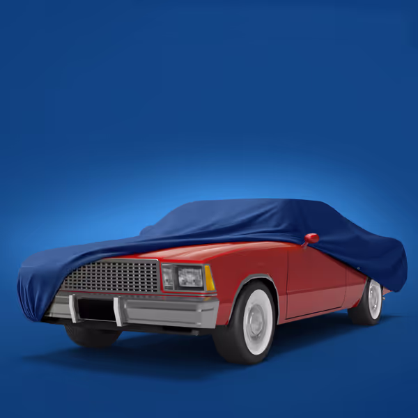 1981 Chevrolet El Camino All Models