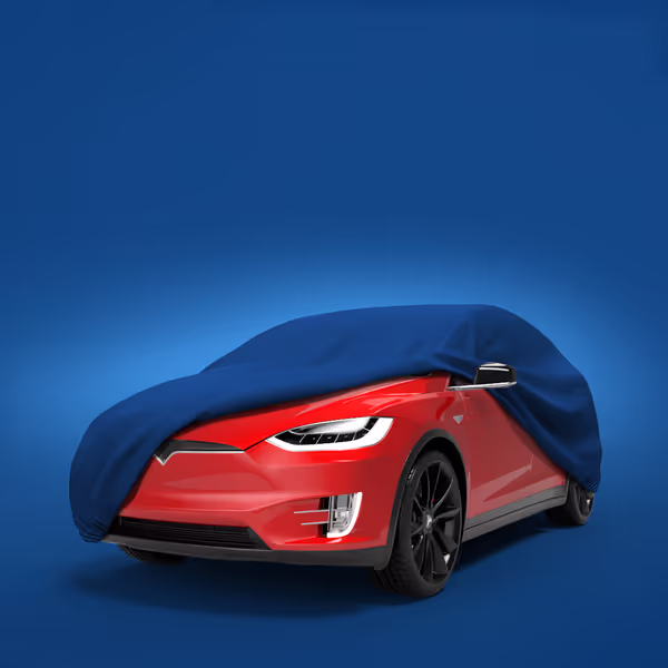 2024 Tesla Model X All Models