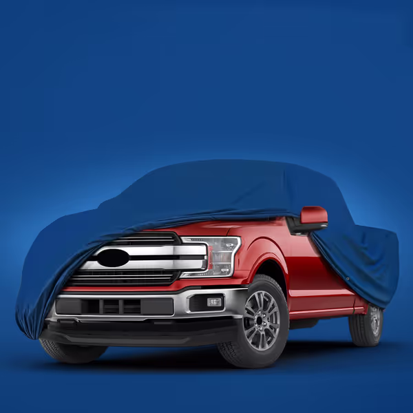 2005 Ford F-150 Regular Cab Long Bed(8 ft)