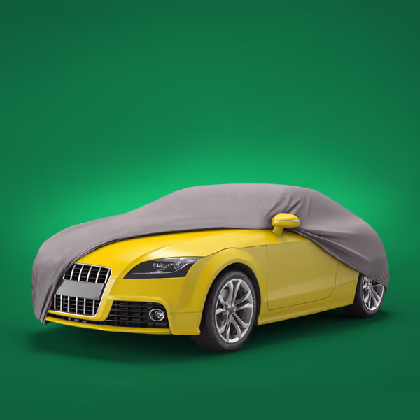 2011 Audi TT RS All Models