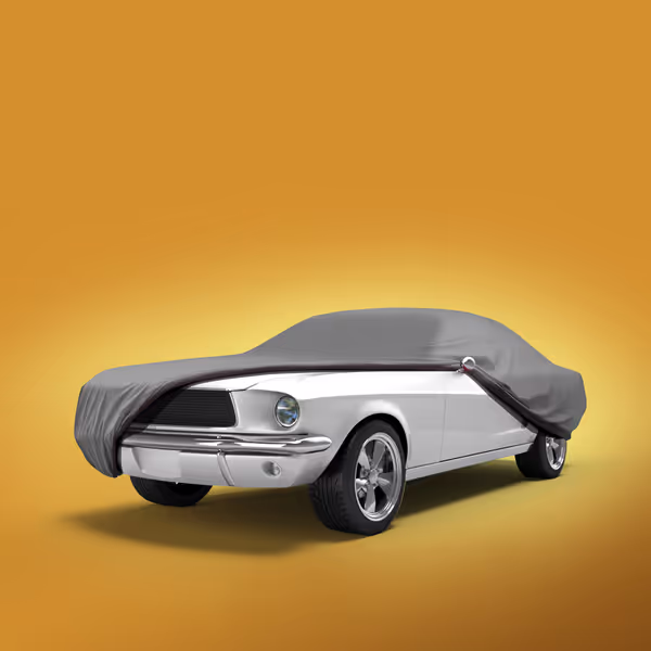 1971 Ford Mustang Fastback