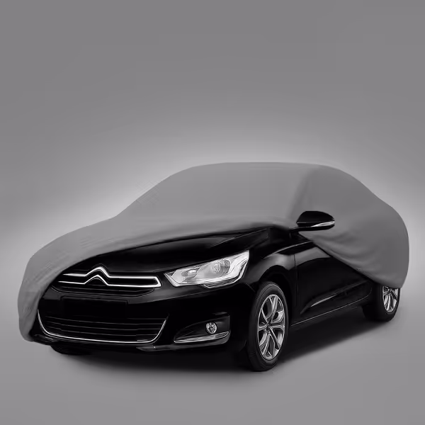 2018 Citro C4 All Models