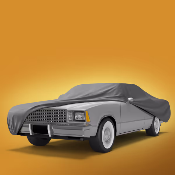 1981 Chevrolet El Camino All Models