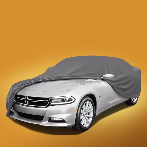 2015 Dodge Charger All Models