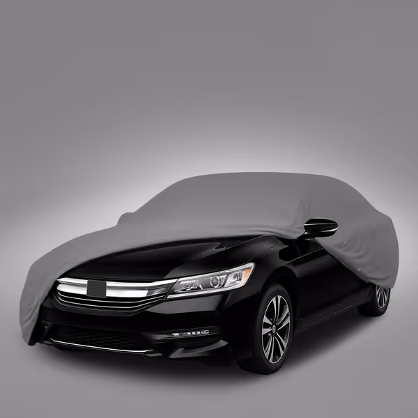 2010 Honda Fit All Models