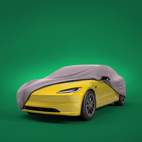 2020 Tesla Model 3 Sedan