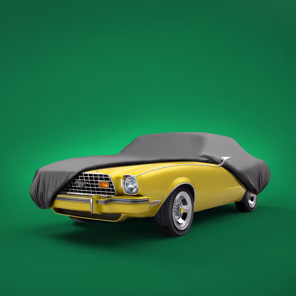 1978 Ford Thunderbird All Models