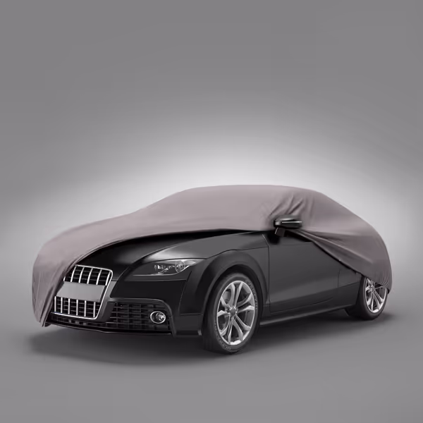 2011 Audi TT RS All Models