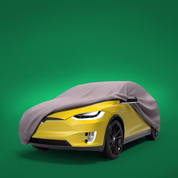 2024 Tesla Model X All Models