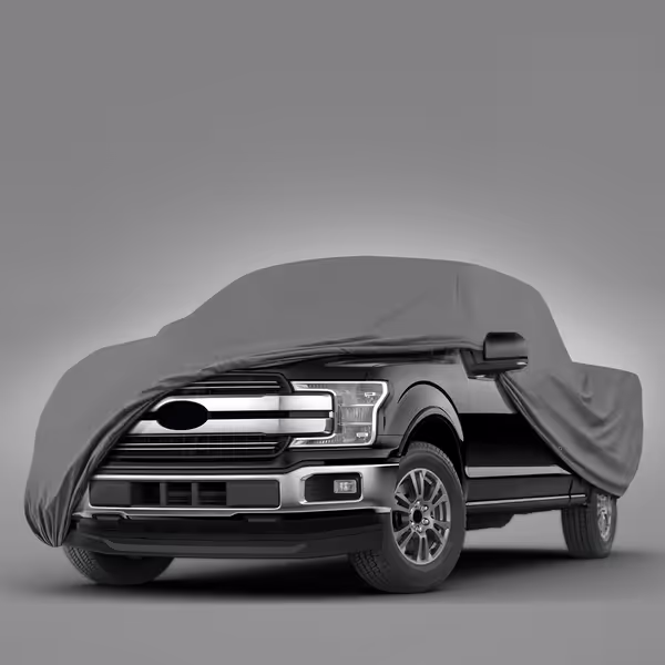 2005 Ford F-150 Regular Cab Long Bed(8 ft)