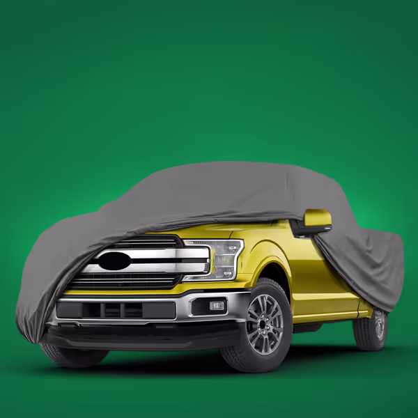 2005 Ford F-150 Regular Cab Long Bed(8 ft)
