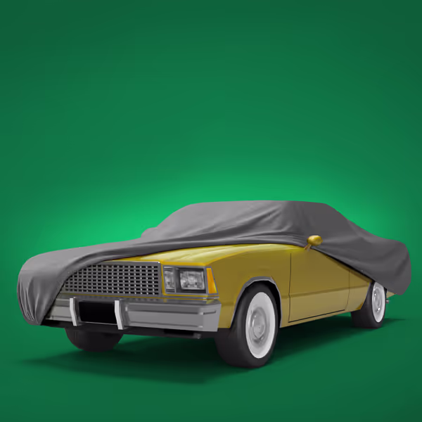 1981 Chevrolet El Camino All Models