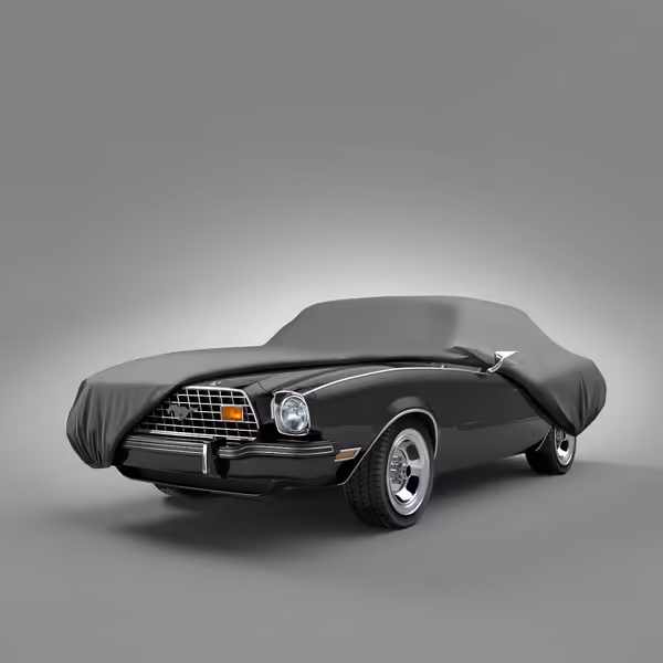 1978 Ford Thunderbird All Models