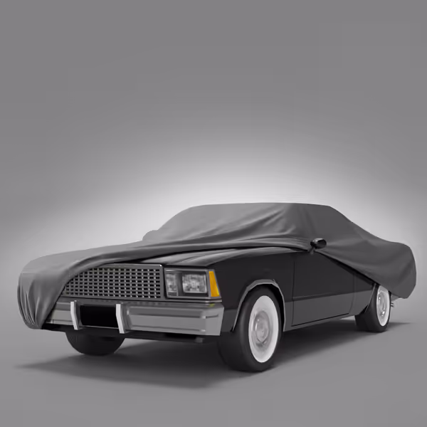 1981 Chevrolet El Camino All Models